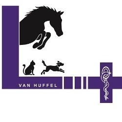 Dierenarts Lien Van Huffel